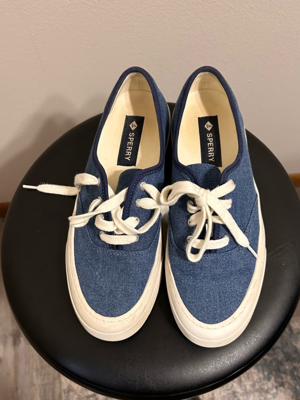 Sperry Navy Canvas Low-Top Sneakers with White Soles